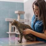 Vaccinazioni per cani e gatti: la guida completa per proteggere il tuo animale
